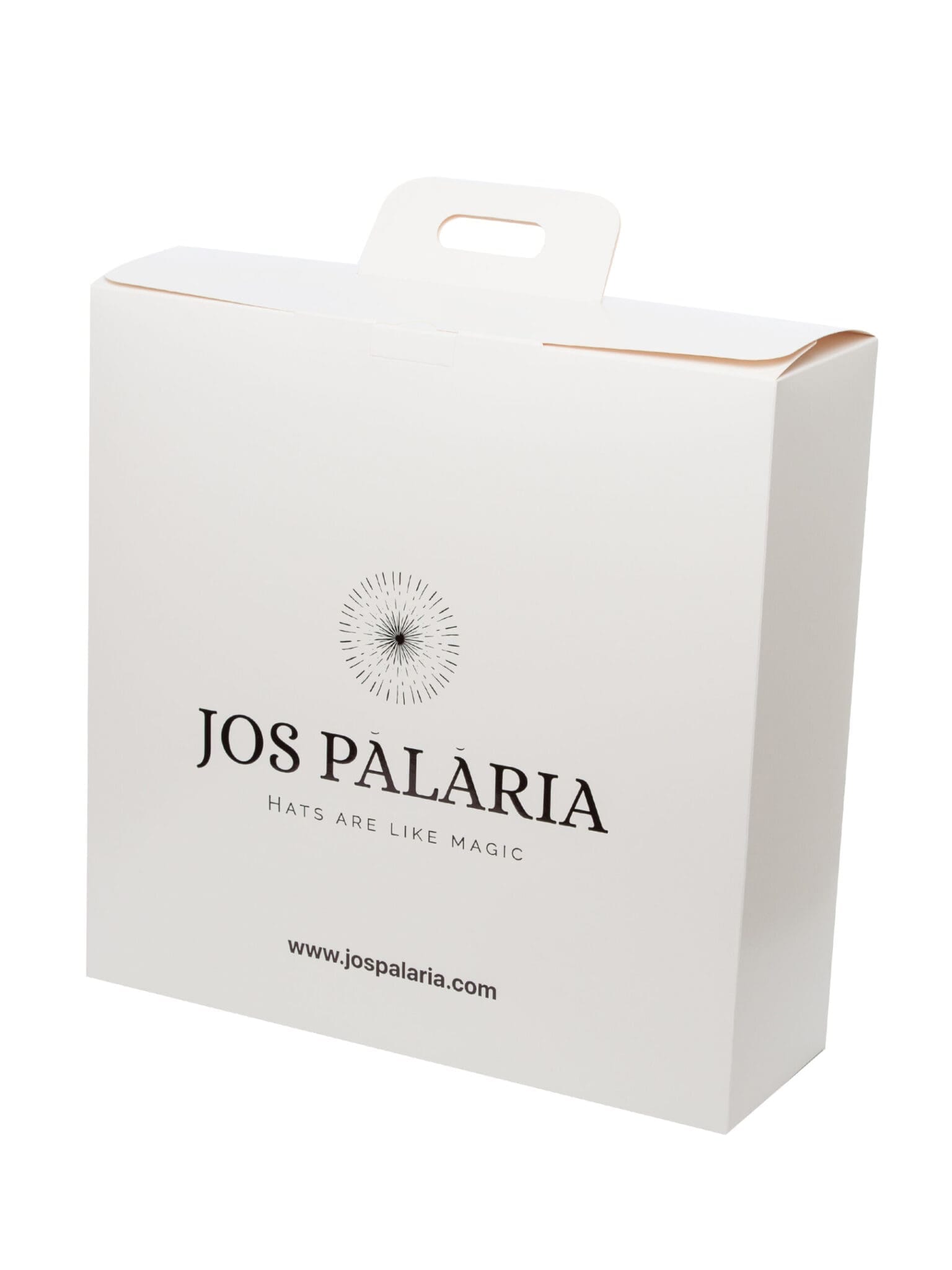 Cutie 50 alba, carton cu maner si suport de palarie in interior - L50/l50/H14.5cm