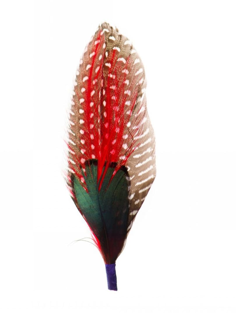 Pana naturala de pasare multicolora